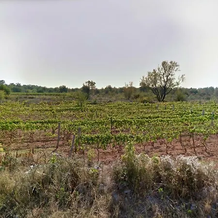 بيت للعطل Family Friendly House With A Swimming Pool Galovac, Zadar - 17551 *
